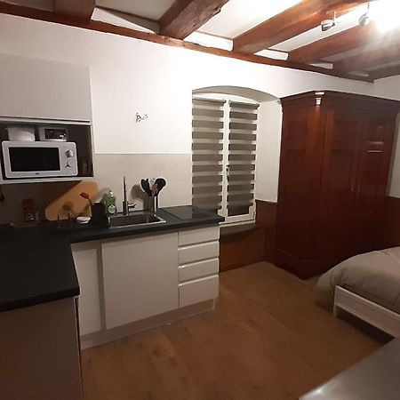 Appartement Vauban コルマール エクステリア 写真