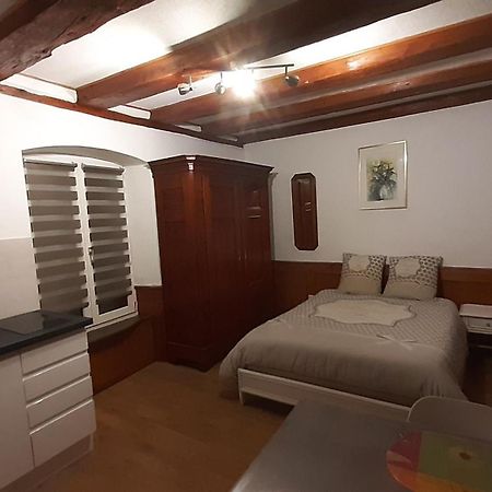 Appartement Vauban コルマール エクステリア 写真