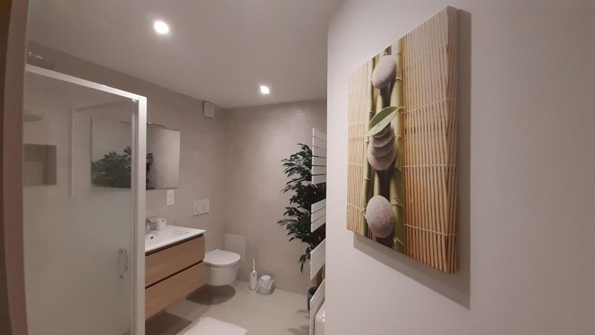 Appartement Vauban コルマール エクステリア 写真